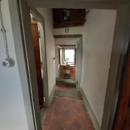 La Cannicciaia