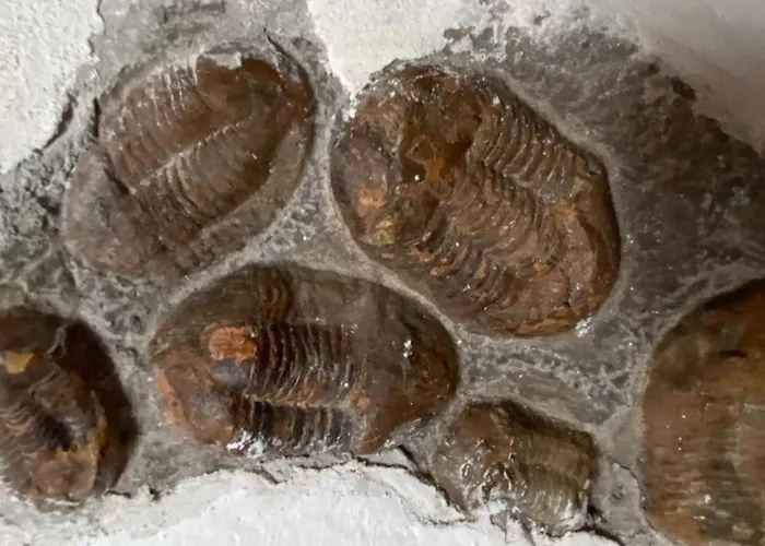 Дом отдыха La Cannicciaia Монтале